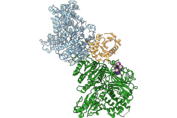9UVD image