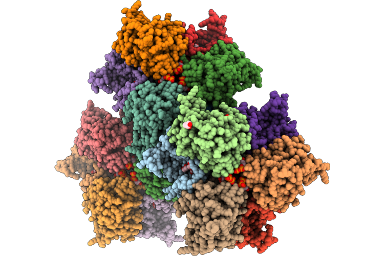 9UVK image