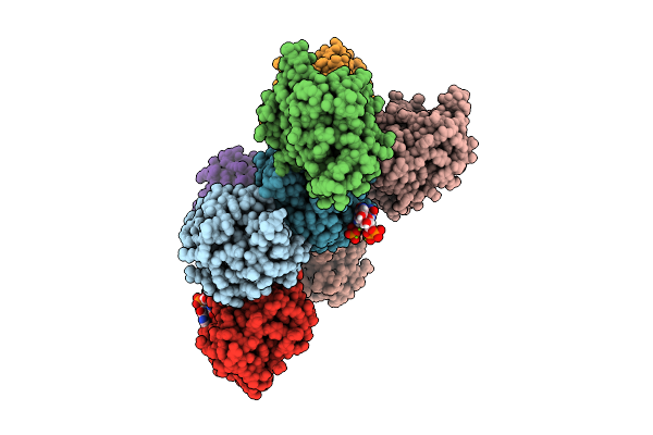 9UVL image