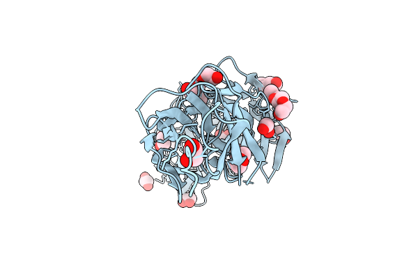 9UVM image