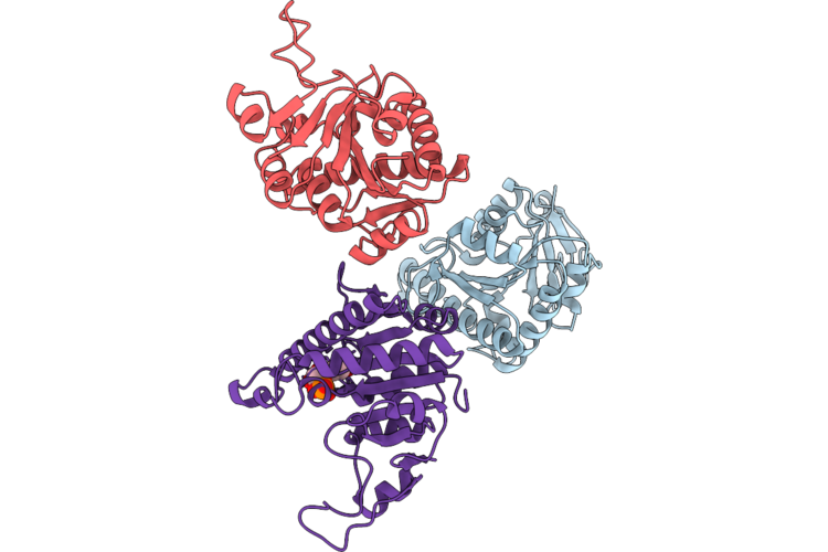 9UVN image
