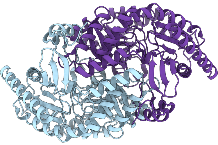 9UVS image