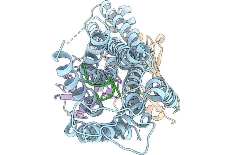 9UVT image