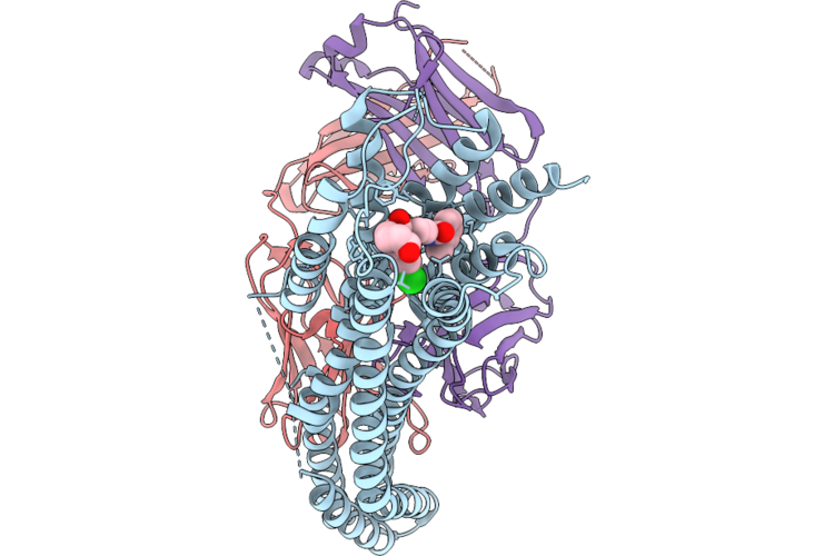 9UVV image