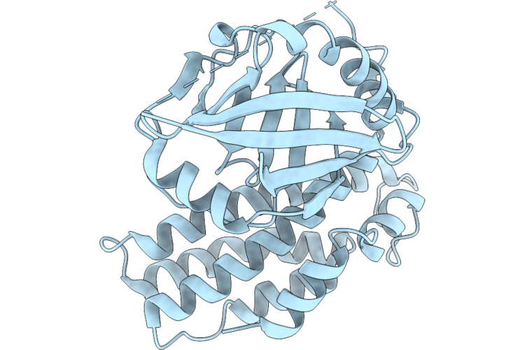 9UWA image