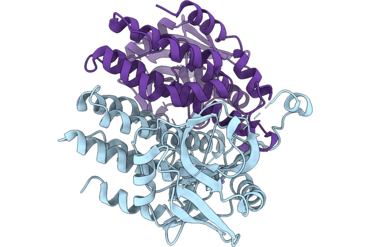 9UWB image