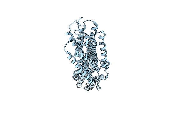 9UWD image