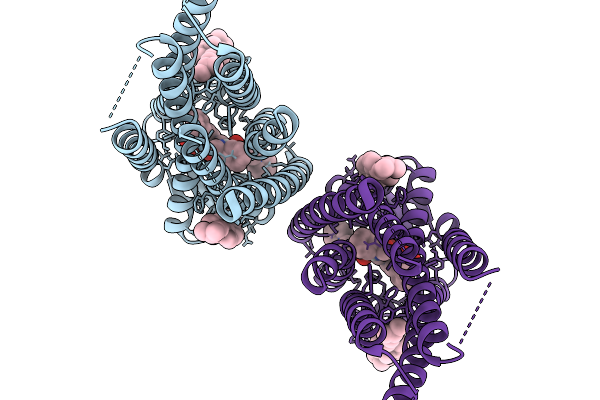 9UWL image