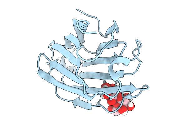 9UWP image
