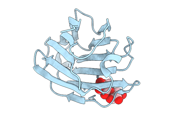 9UWT image