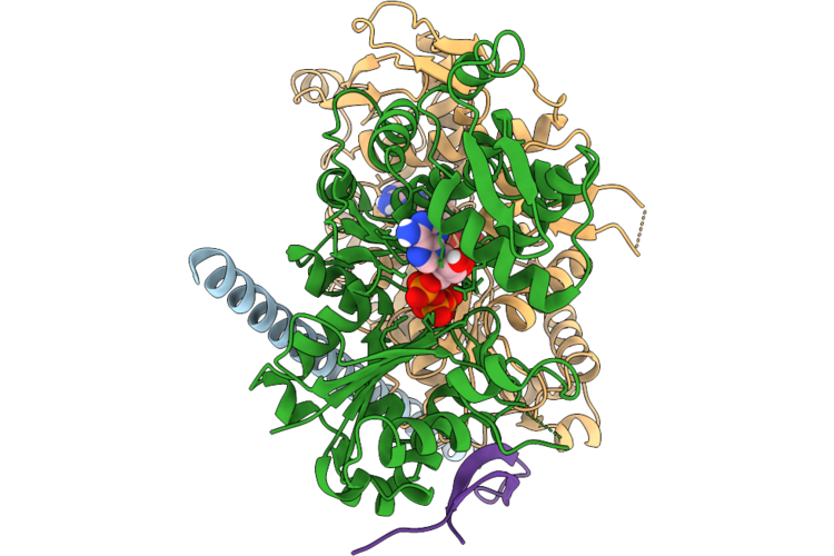 9UXB image