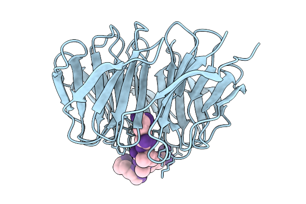 9UXM image