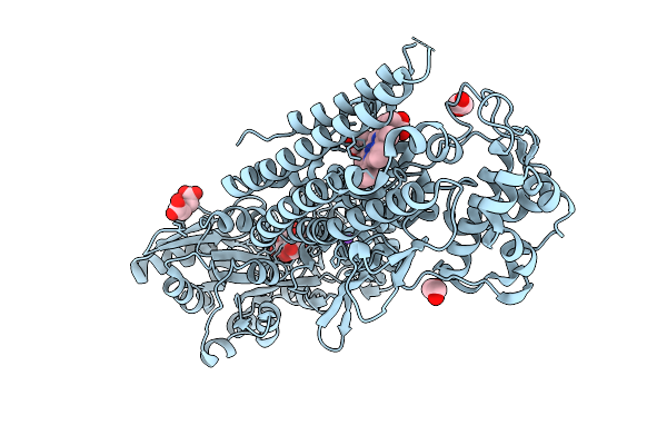 9UZ0 image