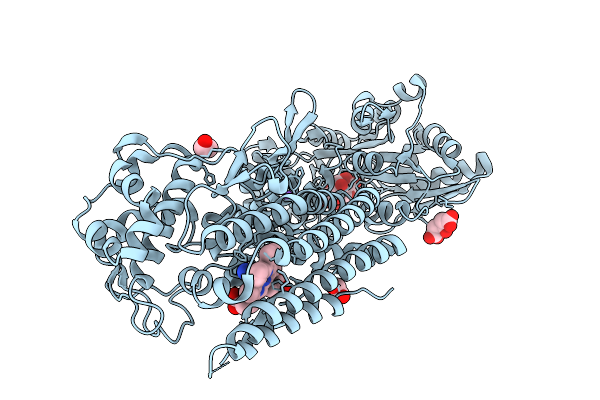 9UZ2 image