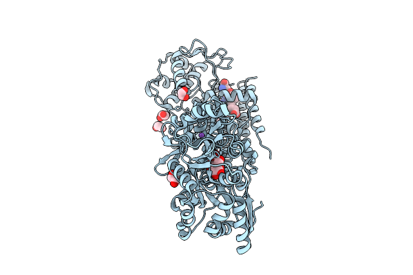 9UZ3 image