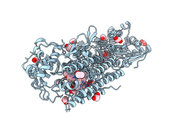 9UZ4 image