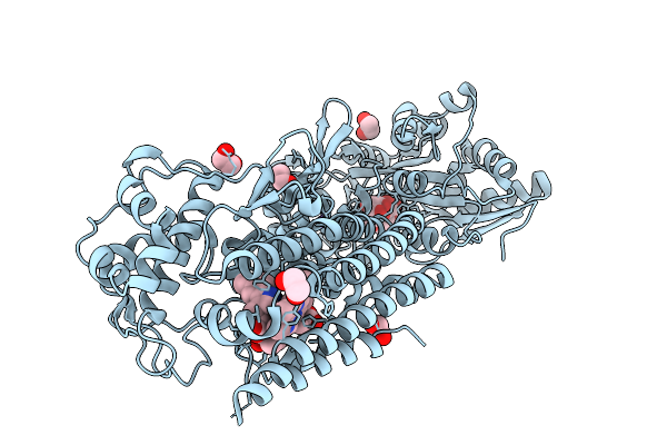9UZ5 image