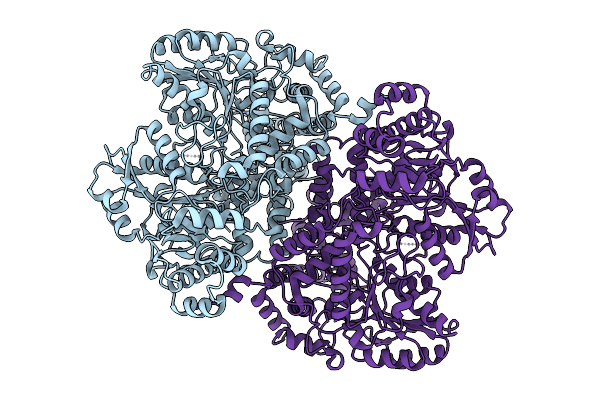 9UZ6 image