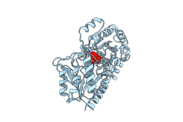 9V0L image
