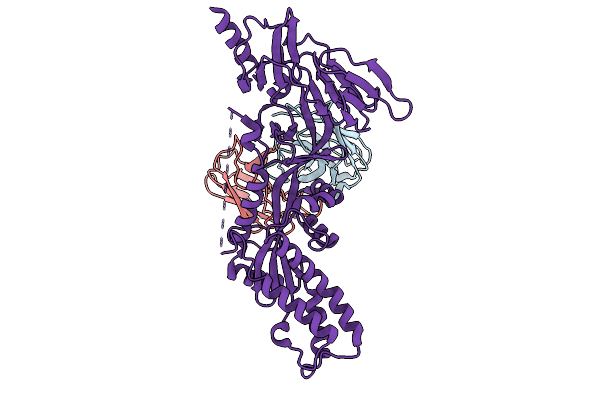 9V0T image