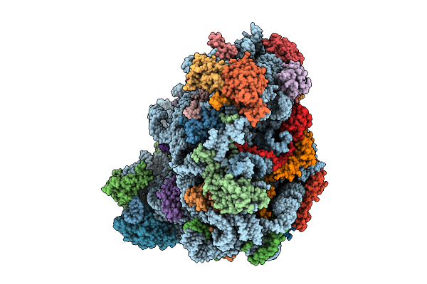 9V1L image