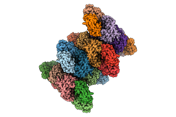 9V2K image