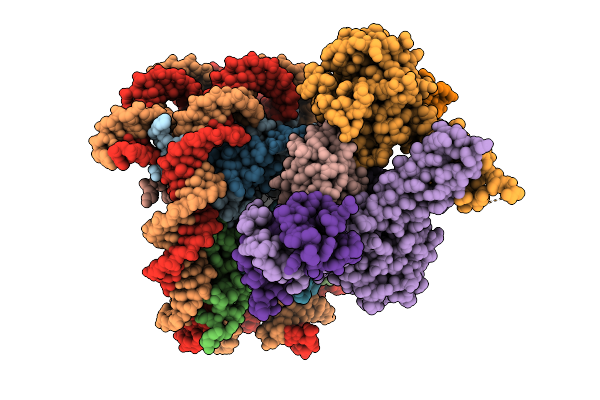 9V33 image