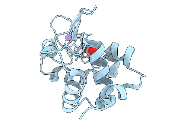 9V3D image