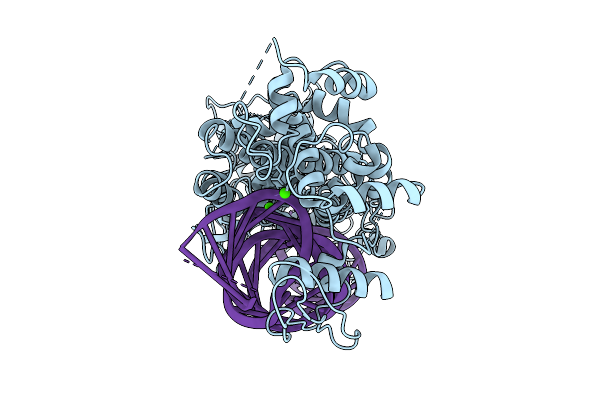 9V42 image