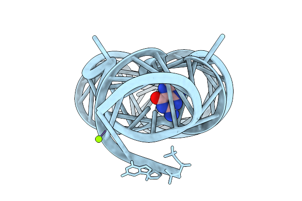 9V4V image