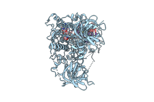 9V5P image