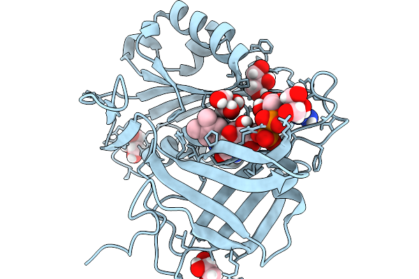 9V6B image
