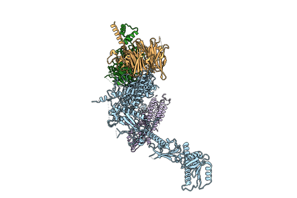 9V6E image