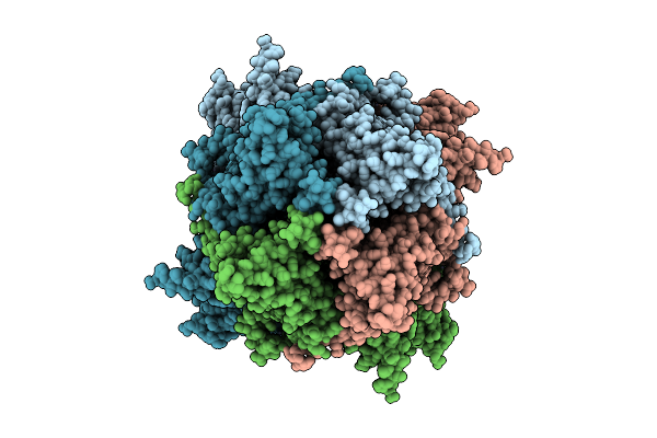 9V6J image