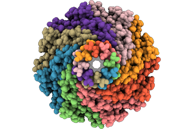 9V6L image