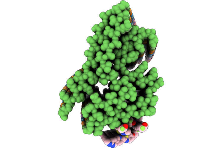 9V7C image