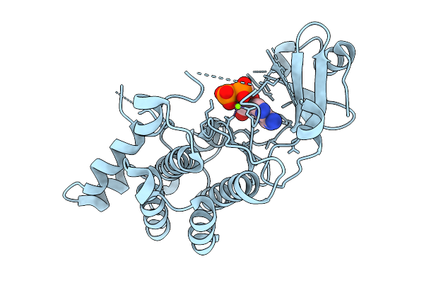 9V7E image