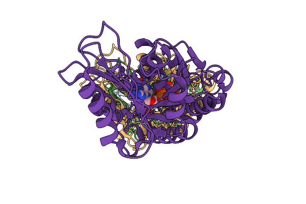 9V7V image