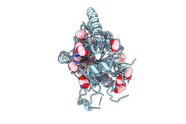 9V7W image