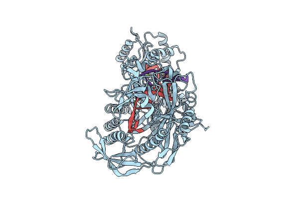 9V7Z image