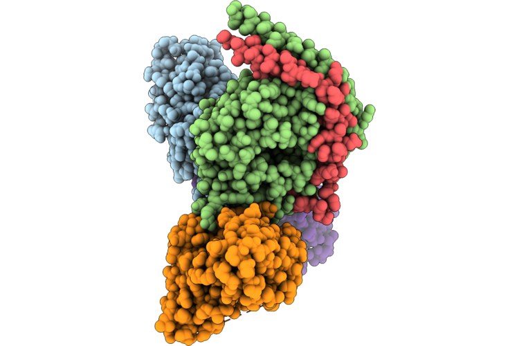 9V81 image