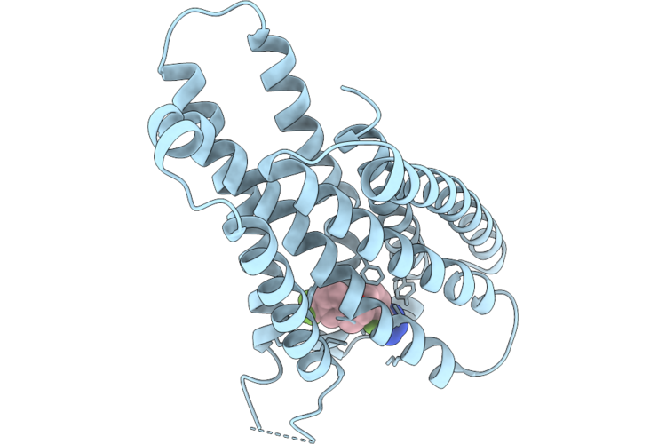 9V82 image