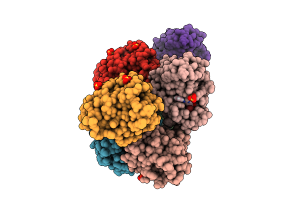 9V84 image