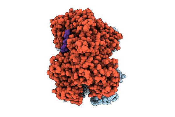 9V8A image