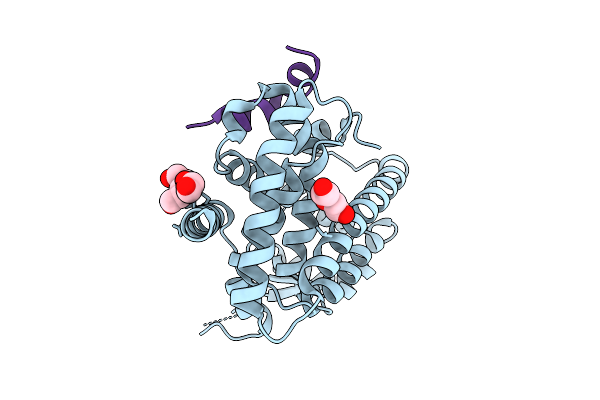 9V8D image