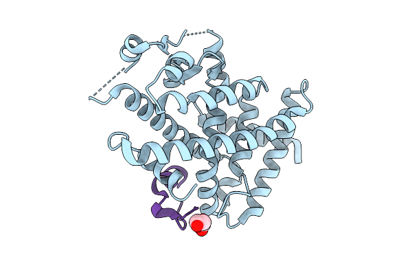 9V8E image