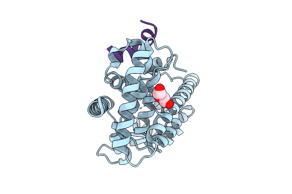 9V8G image