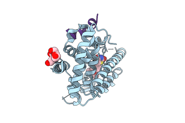 9V8H image