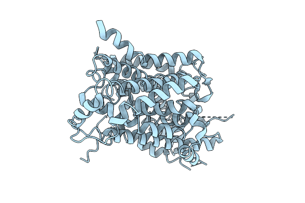 9V8Y image