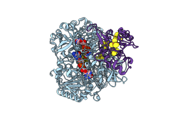 9VAP image